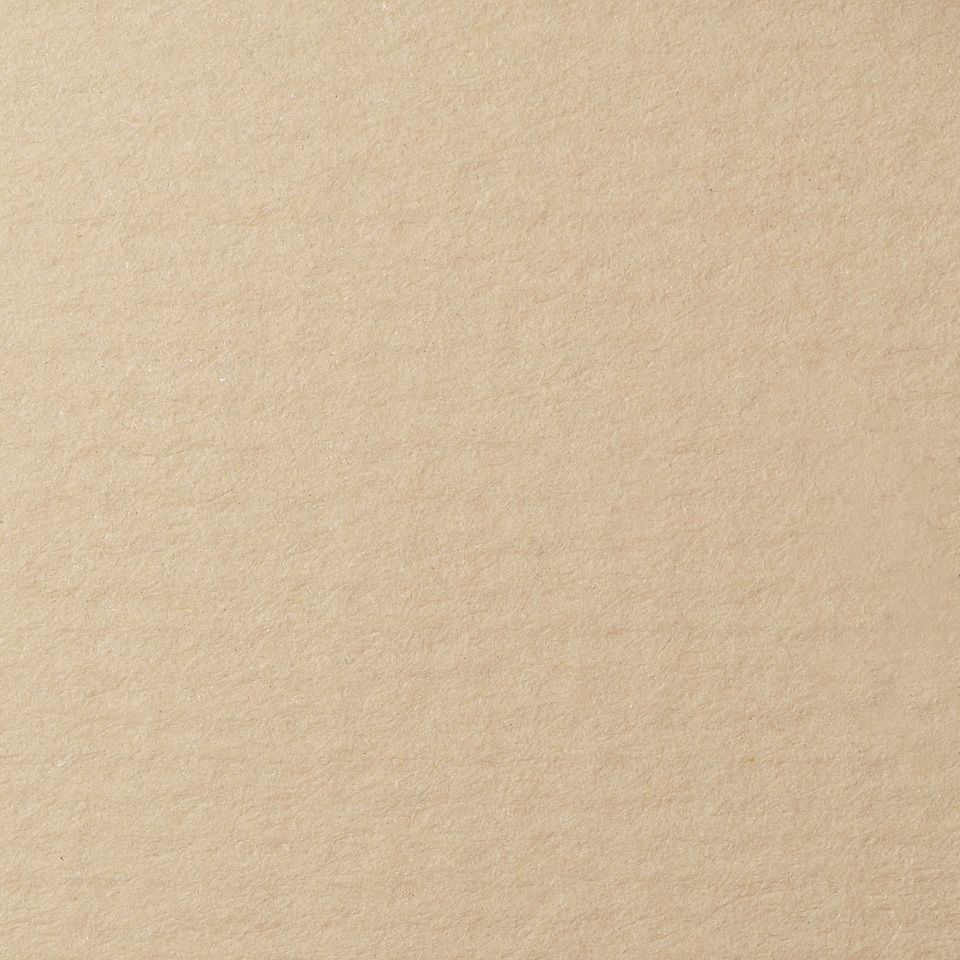 Бумага для пастели Lana, белый серый, 50х65 ( хлопок 45%) фото 1 &mdash; PalitraMastera