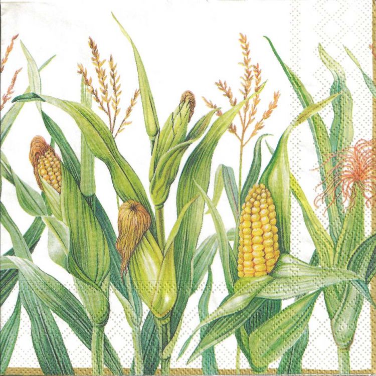 Салфетка для декупажа - 33 x 33 cm Кукуруза АКЦИЯ!!! — PalitraMastera