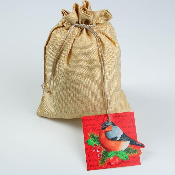 Мешок подарочный «Снегирь», 20 30 см  5044048 фото 1 — PalitraMastera