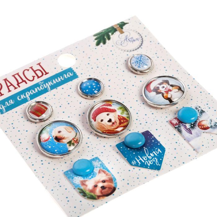 Брадсы для скрапбукинга с картонным декором в наборе «Веселые щеночки», 8 х 8 см — PalitraMastera