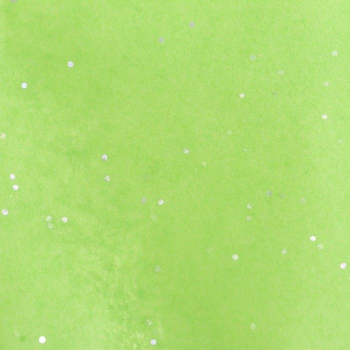 Бумага упаковочная тишью, «Конфетти», зелёное яблоко, 50*66 см — PalitraMastera