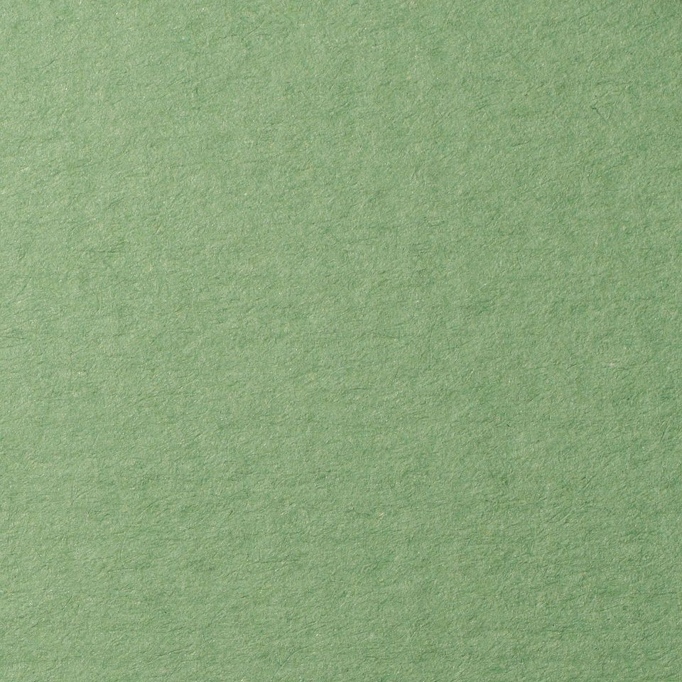 Бумага для пастели Lana, зеленый сок, 50х65 ( хлопок 45%) фото 1 — PalitraMastera