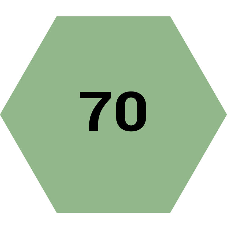 Ручка капиллярная LePen PEPPERMINT , 0,3 мм MAR4300/70  /MARVY — PalitraMastera