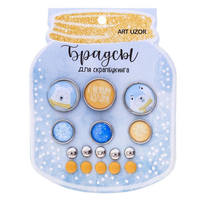 Брадсы для скрапбукинга в наборе «Мои зимние сны», 8 х 10 см — PalitraMastera