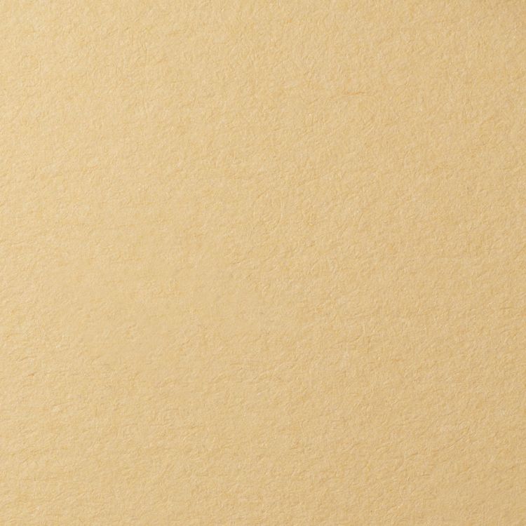 LANA Бумага для пастели, 160г, песочный, 21х29,7 ( хлопок 45%) — PalitraMastera