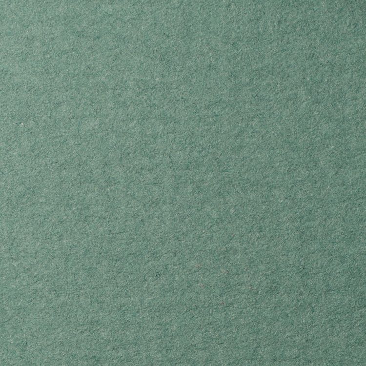 LANA Бумага для пастели, 160г, полынь, 21х29,7 ( хлопок 45%) — PalitraMastera