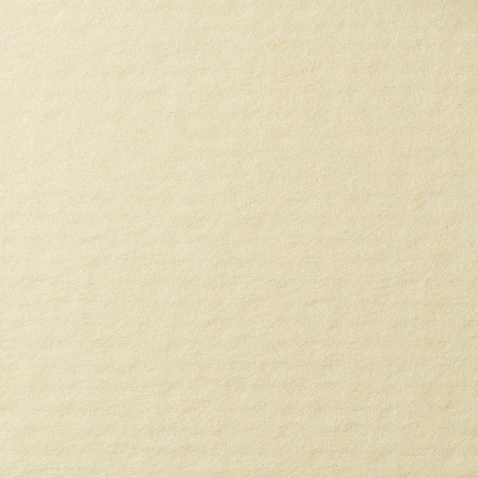 Бумага для пастели Lana, кремовый, 50х65 ( хлопок 45%) фото 1 &mdash; PalitraMastera
