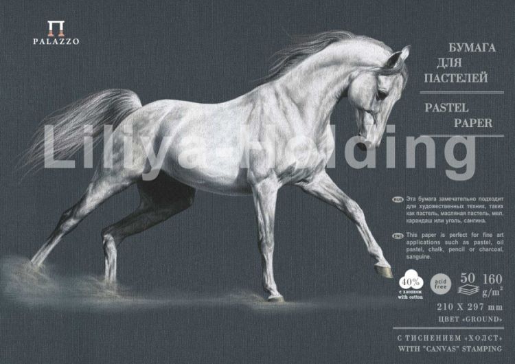 Бумага для паст.&quot;Палаццо&quot; 210х297 &quot;Ground&quot; (черный)  160г — PalitraMastera