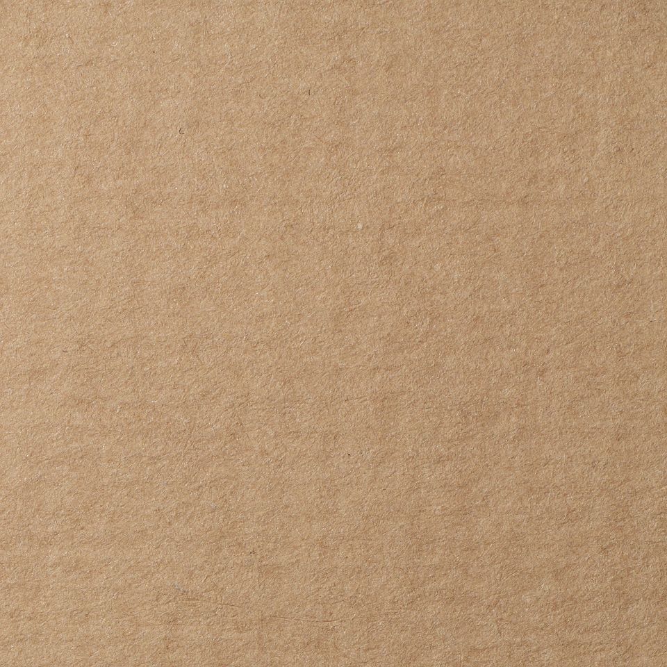 LANA Бумага для пастели, 160г, светло- коричневый, 21х29,7 ( хлопок 45%) фото 1 &mdash; PalitraMastera