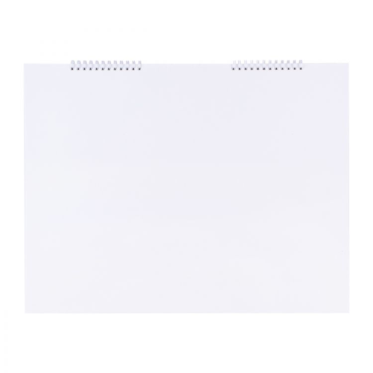 Альбом для рисования серии &quot;Сонет&quot; на пружине, бумага чертежная (белая), плотность  200г/м2, формат 35х45 см, 24листа — PalitraMastera