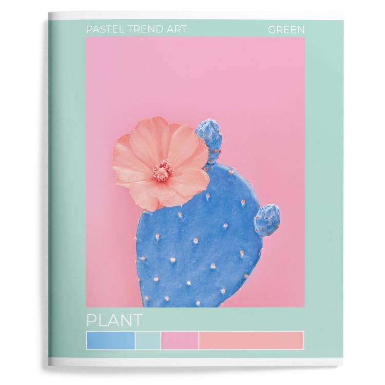 Тетрадь 48 л. А5+ лин. скреп. офс. Schoolformat ПАСТЕЛЬ ВОКРУГ мел. карт., ВД-лак — PalitraMastera