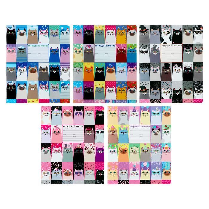 Тетрадь 12 листов в линейку "Котомания", обложка мелованная бумага, ВД-лак, МИКС фото 1 — PalitraMastera