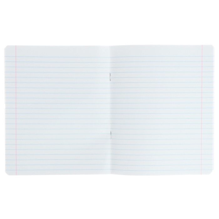 Тетрадь 12 листов в линейку &quot;Котомания&quot;, обложка мелованная бумага, ВД-лак, МИКС — PalitraMastera