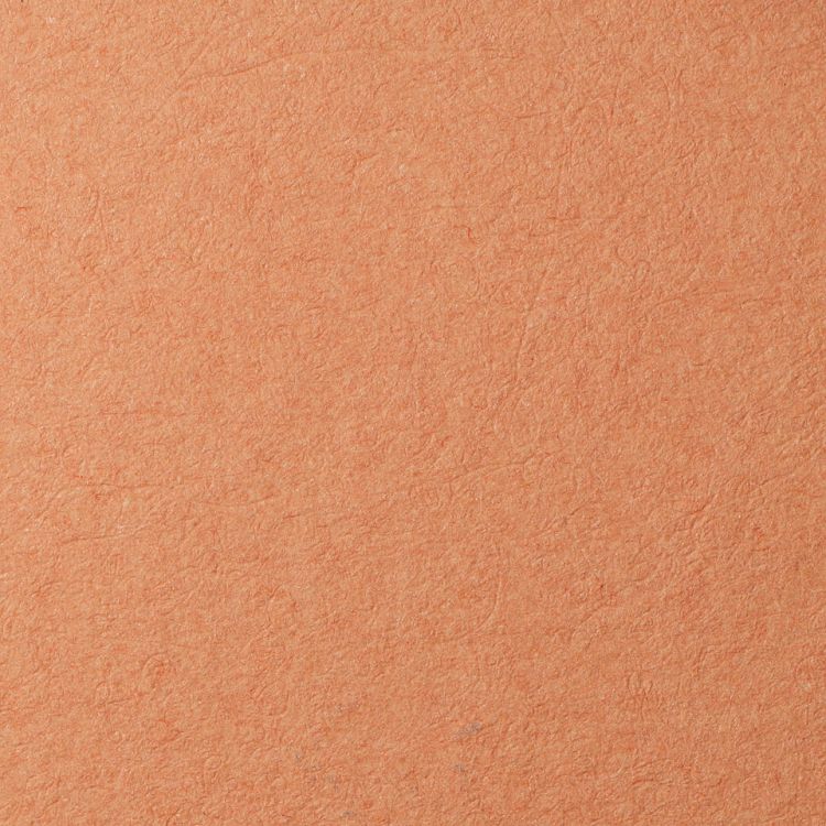 Бумага для пастели Lana, охра, 50х65 ( хлопок 45%) — PalitraMastera