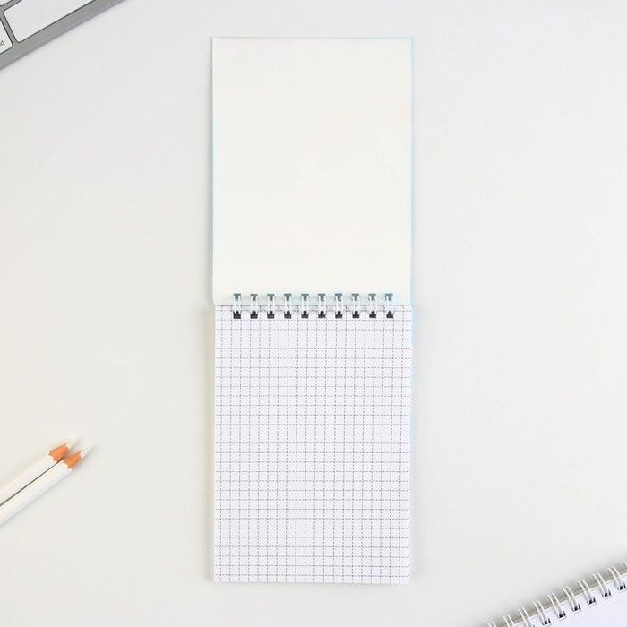 Блокнот А6, 40 л на гребне, мягкая обложка «Енотик - блокнотик» — PalitraMastera