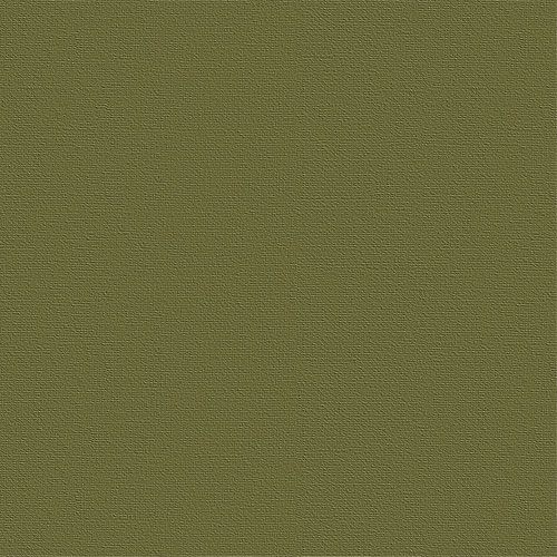 Бумага для паст.&quot;Палаццо&quot; 210х297  &quot;Dark jungle&quot; ( тёмные джунгли )  160г — PalitraMastera