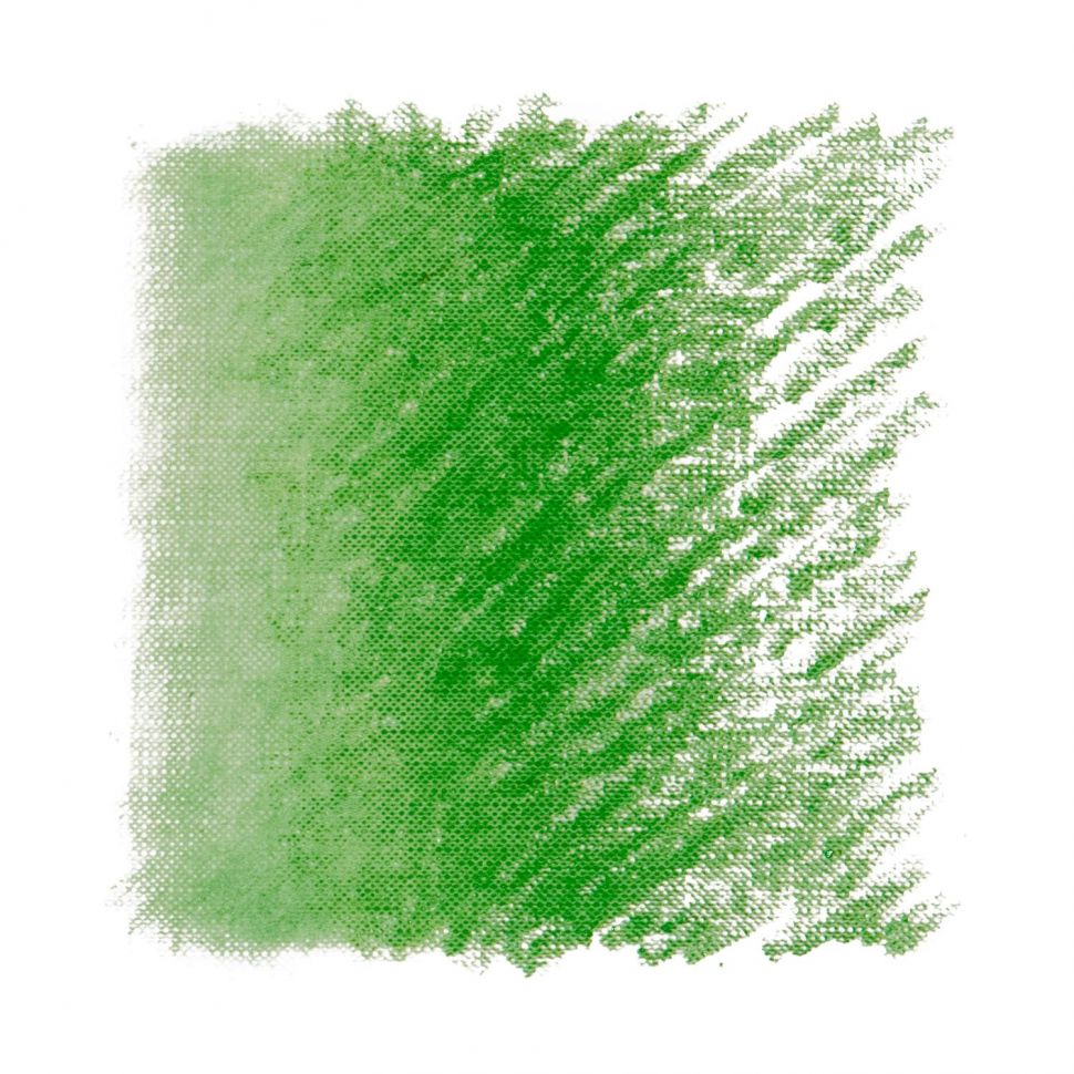 Масляная пастель классико Зеленый Паоло Веронезе фото 1 — PalitraMastera