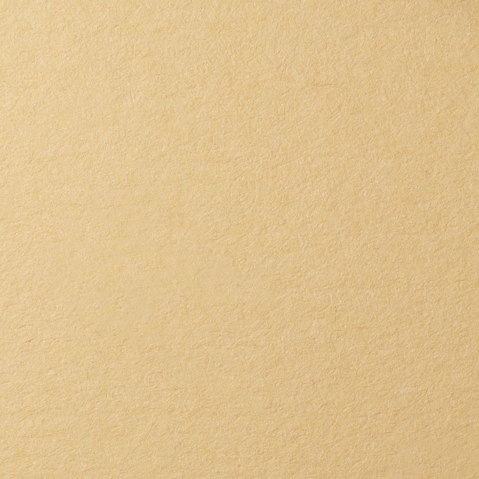 Бумага для пастели Lana, песочный, 50х65 ( хлопок 45%) фото 1 &mdash; PalitraMastera