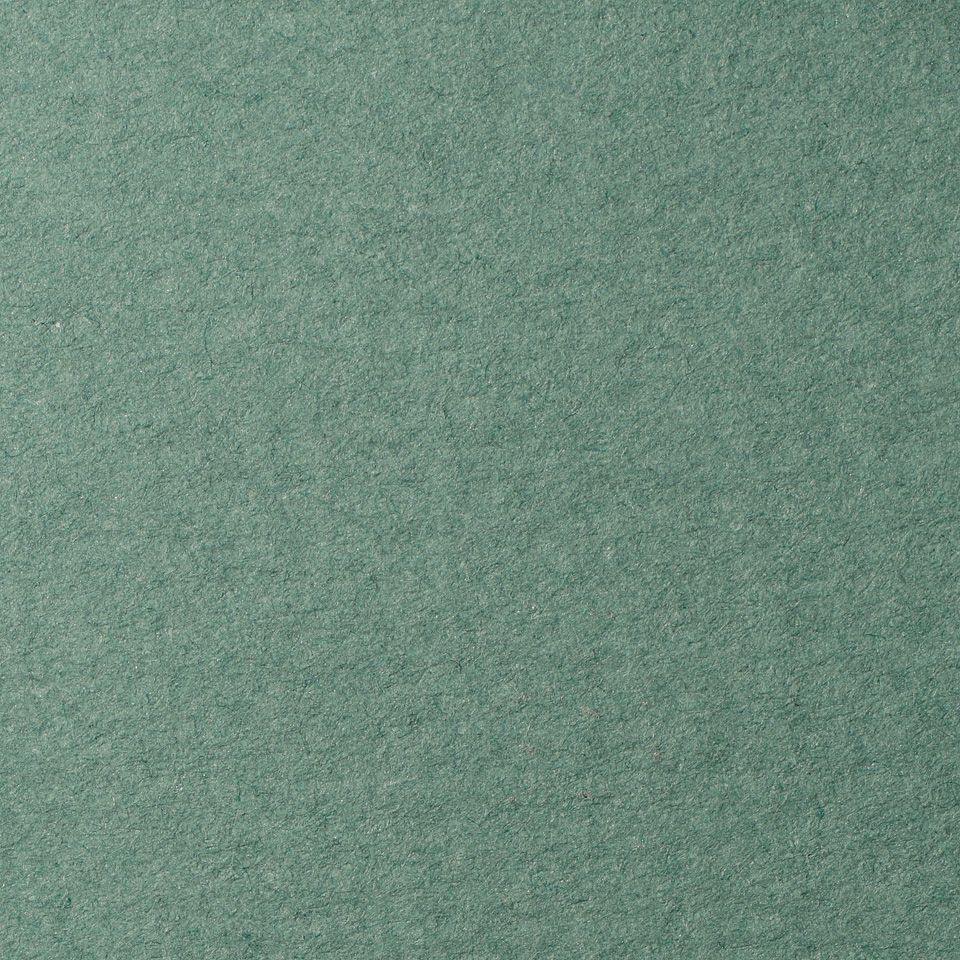 Бумага для пастели Lana, полынь, 50х65 ( хлопок 45%) фото 1 — PalitraMastera