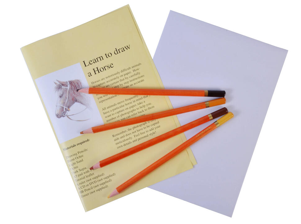 Набор для эскизов "Лошадь" (4 цветных кар., альбом А5), арт. LD-H фото 1 — PalitraMastera