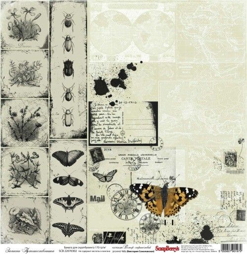 Бумага для скрапбукинга 30х30см 170 гр/м односторонняя Записки Путешественника SCB 22070302 фото 1 &mdash; PalitraMastera