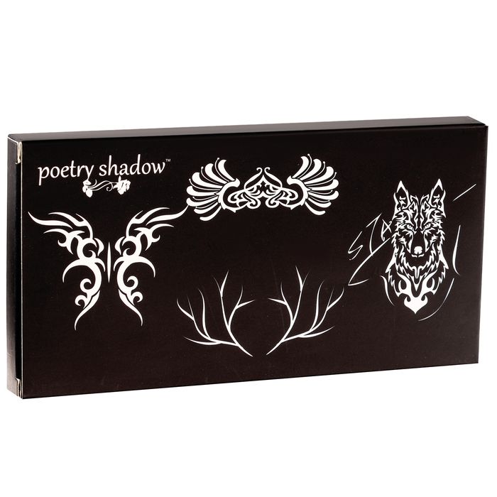 Аквагрим профессиональный для лица и тела, 12 цветов, с 2 кисточками — PalitraMastera