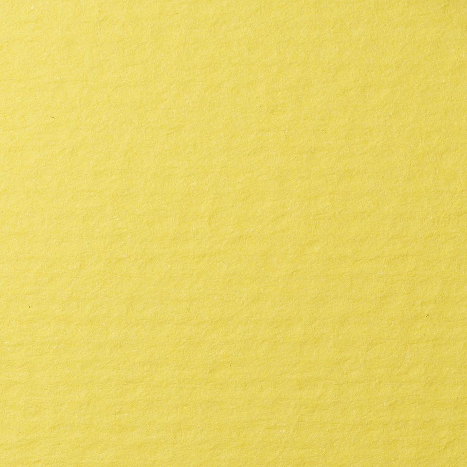 Бумага для пастели Lana, светло-желтый, 50х65 ( хлопок 45%) фото 1 &mdash; PalitraMastera