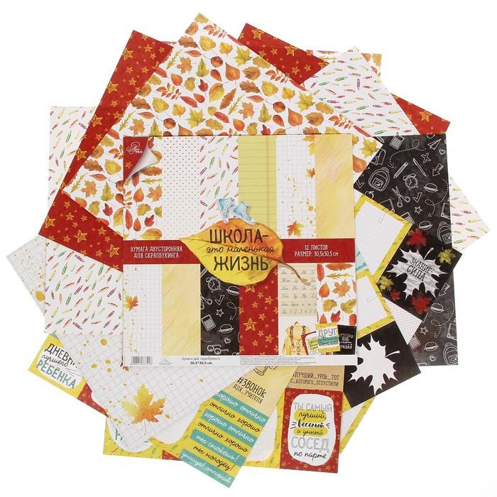 Набор бумаги для скрапбукинга «Школа – это маленькая жизнь»12 листов 30,5 х 30,5 см, 180 г/м 1477321 фото 1 &mdash; PalitraMastera