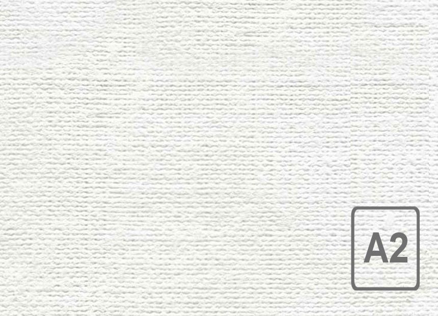 Бумага тисненая Холст  м.280 ф.594 *420  (ГОЗНАК) фото 1 &mdash; PalitraMastera