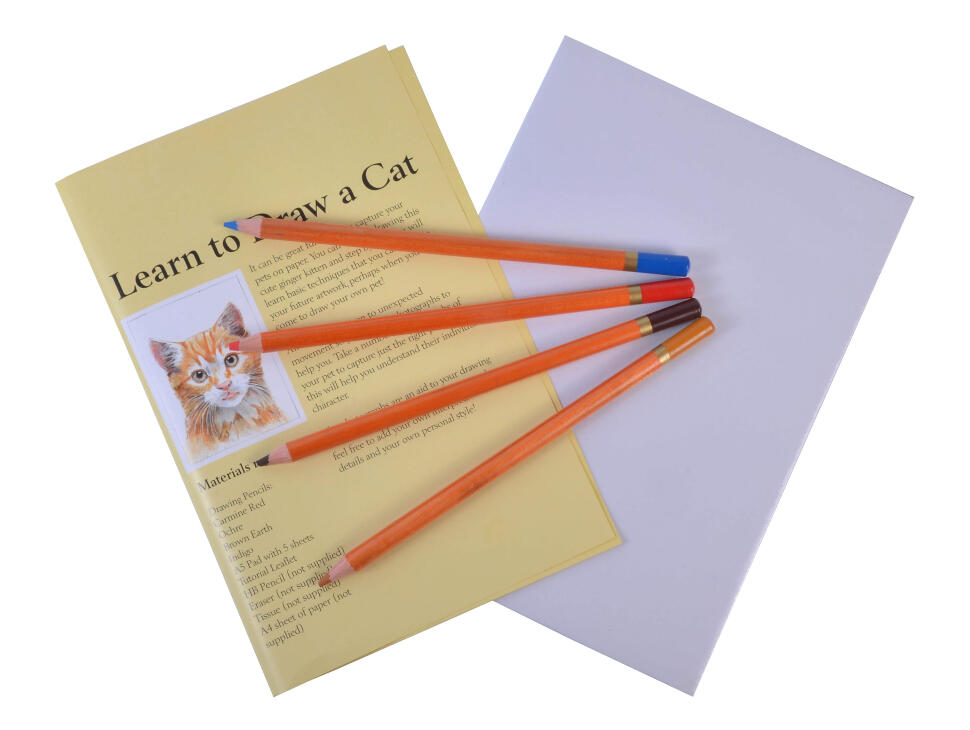 Набор для эскизов "Кошка" (4 цветных кар., альбом А5), арт. LD-С фото 1 — PalitraMastera