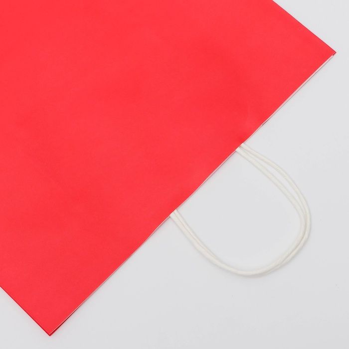 Пакет крафт фуксия, круглая ручка, 32*19.5*37 см, 120 г — PalitraMastera