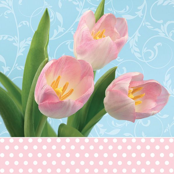 Салфетки - трехслойные, Maki, розовые тюьпаны на голубом — PalitraMastera