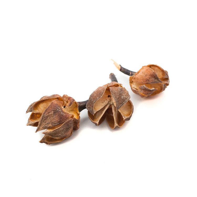 YW052 Декоративные элементы натуральные. Цветок, 2см, 20гр — PalitraMastera