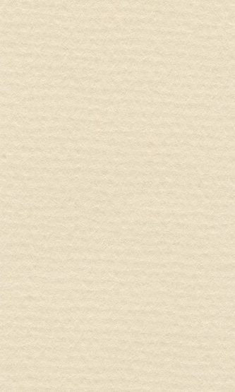 LANA Бумага для пастели «Lana Colours», 160 г/м2, 42х29,7 см, слоновая кость — PalitraMastera