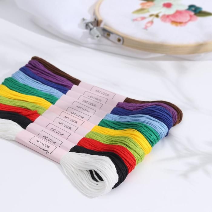 Набор ниток мулине «Школьный», 8 ± 1 м, 10 шт — PalitraMastera