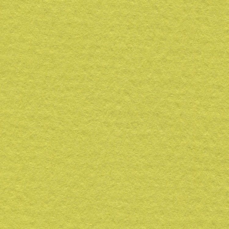 LANA Бумага для пастели, 160г, фисташковый, 21х29,7 ( хлопок 45%) — PalitraMastera