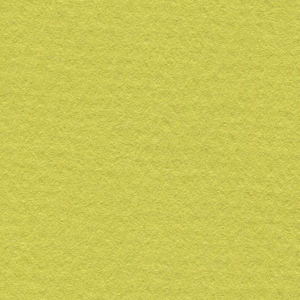 LANA Бумага для пастели, 160г, фисташковый, 21х29,7 ( хлопок 45%) фото 1 — PalitraMastera