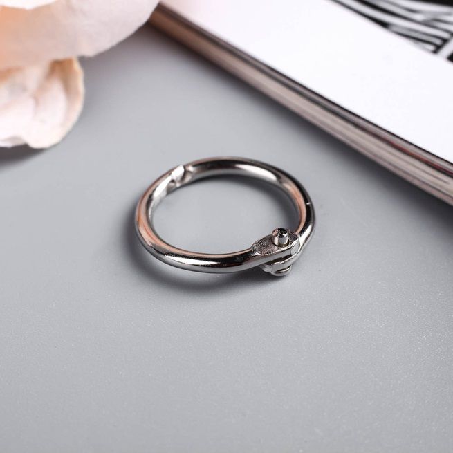 Кольцо для творчества (для фотоальбомов) &quot;Серебро&quot;, 1 шт. d=2 см — PalitraMastera