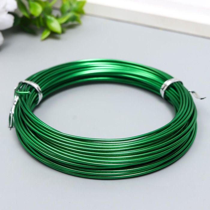 Проволока для творчества d 1,5 мм, зеленый рул.10 м 9269256 фото 1 — PalitraMastera