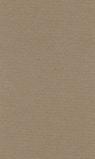 LANA Бумага для пастели «Lana Colours», 160 г/м2, 42х29,7 см, светло-коричневый — PalitraMastera