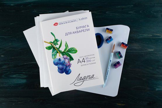 Папка с бумагой для акварели &quot;Ладога&quot;, А4, 200 г/м2, 20 л, 100% целлюлоза, среднее зерно — PalitraMastera