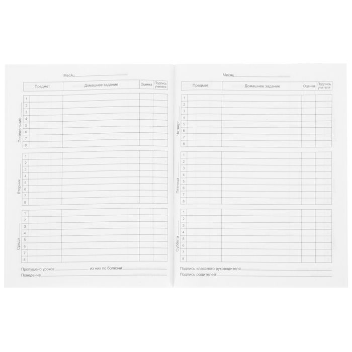 Дневник мл. кл. инт. обл. Schoolformat САФАРИ мат. лам. выб. лак. — PalitraMastera