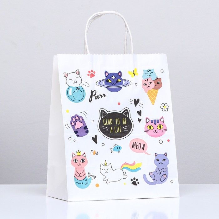 Пакет крафт «Коты», 22*12*27 см, крученая ручка, 1 шт. фото 1 &mdash; PalitraMastera
