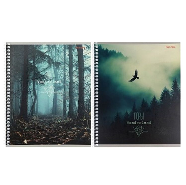 Тетрадь 48 л. А5 кл. спир. офс. Проф-пресс МИСТИЧЕСКАЯ ПРИРОДА мел. карт.,твин-лак &mdash; PalitraMastera