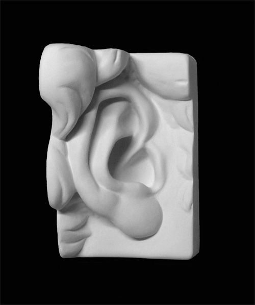 Ухо Давида правое, гипс фото 1 — PalitraMastera