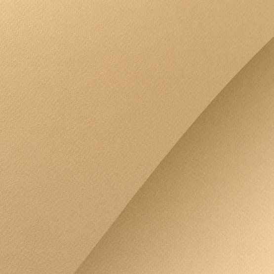 Бумага для пастели "Мастер-Класс", 160 г/м2, А3, 40% хлопок, миндальный фото 1 &mdash; PalitraMastera