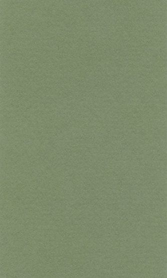 LANA Бумага для пастели «Lana Colours», 160 г/м2, 42х29,7 см, зеленый сок фото 1 — PalitraMastera