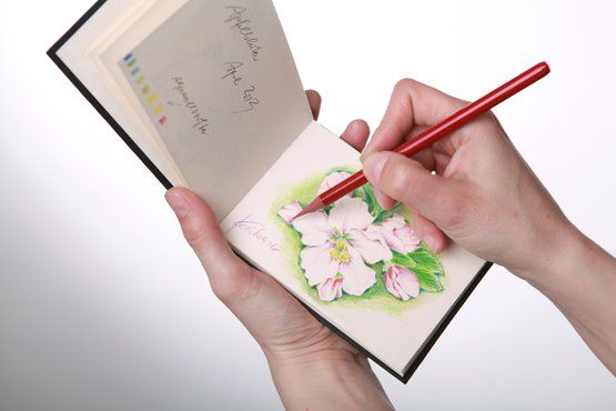 Hahnemuhle Блокнот для эскизов «D&S» «Пейзаж», 140 г/м2, A5, 80 л, пейзаж, жёсткая обложка красного цвета фото 1 &mdash; PalitraMastera