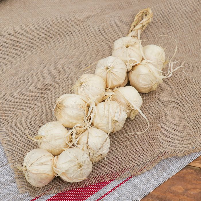 Муляж чеснока связка 40 см 12 головок  3601725 — PalitraMastera