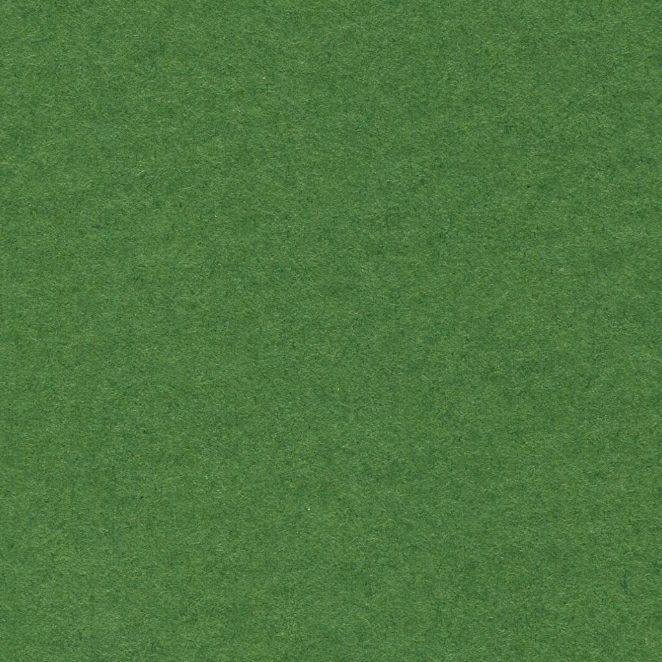 LANA Бумага для пастели, 160г, зеленый еловый, 21х29,7 ( хлопок 45%)--- фото 1 &mdash; PalitraMastera